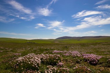 İskoçya, İngiltere 'de Orkney Adaları' nın kırsal bir manzarası.