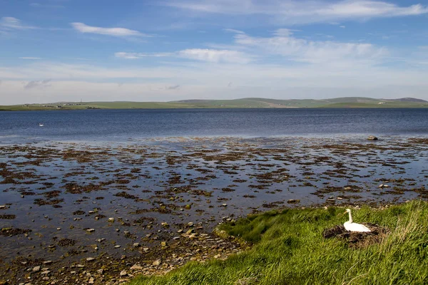 Landskapet Orkneyöarna Skottland Förenade Kungariket — Stockfoto