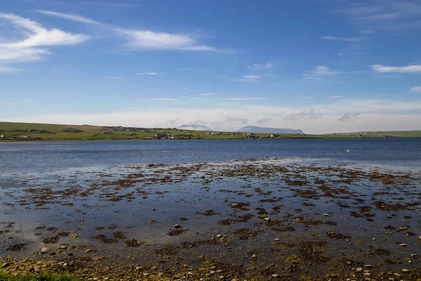 Skoçya Ngiltere Deki Orkney Adaları Nın Kırsal Manzarası — Stok fotoğraf