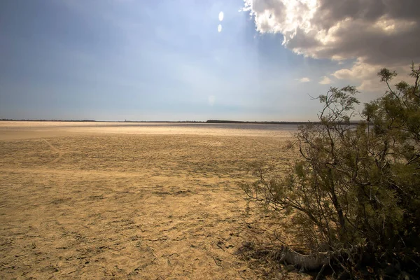 Lago Salgado Larnaca Nos Arredores Cidade Chipre — Fotografia de Stock