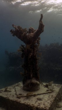 John Pennekamp Mercan Resifi Park, Florida, ABD 'deki Derin Heykel İsa' nın 9: 16 portresi