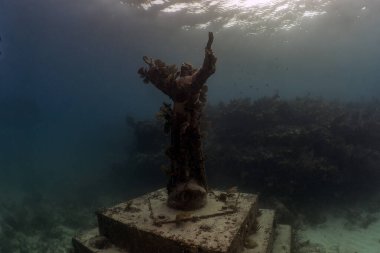 John Pennekamp Mercan Resifi Eyalet Parkı 'ndaki Derin Heykel Mesih, Florida, ABD