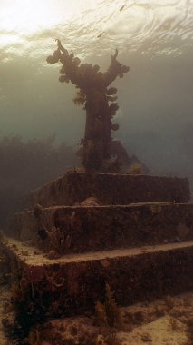 John Pennekamp Mercan Resifi Park, Florida, ABD 'deki Derin Heykel İsa' nın 9: 16 portresi