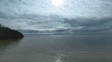 Islamorada, Florida, ABD 'deki 4K mangrov videosu