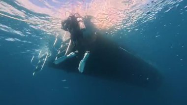 Key Largo, Florida, ABD 'de sudan çıkmak üzere olan bir dalgıcın 4K videosu