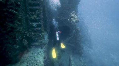 4K Wreck Dalışı: Florida Key Largo 'da Tarihi USCG Duane Batığını Keşfeden Dalgıçlar