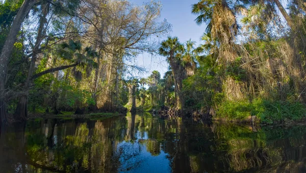 Sabahın erken saatlerinde Vahşi ve Manzaralı Loxahatchee Nehri, Jüpiter, Florida