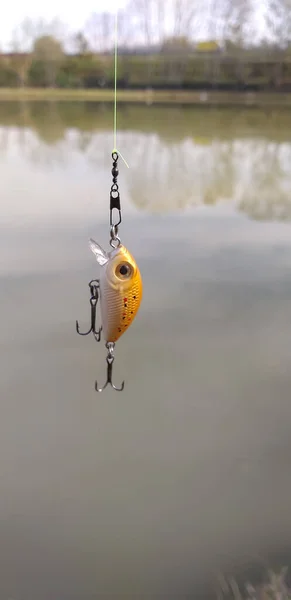 Talyan Göllerinde Yaygın Olarak Kullanılan Spinning Tekniğine Sahip Alabalık Avlama — Stok fotoğraf