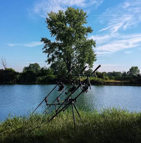 Pesca Selettiva Delle Carpe Lago Del Piemonte — Foto Stock