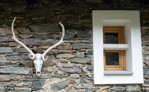 高山の小屋の石壁にぶら下がっている鹿の頭蓋骨 — ストック写真