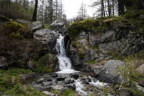 Pequeñas Cascadas Montaña Generadas Por Arroyo Alpino Llamado Stura Ala — Foto de Stock