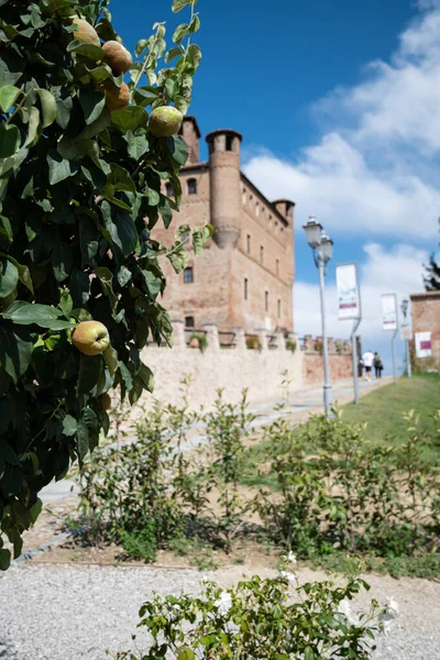 Magnífico Castelo Grinzane Cavour Uma Pequena Aldeia Langhe Piemontês Património — Fotografia de Stock