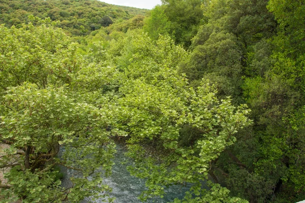 Fiume Lousios, Grecia — Foto Stock