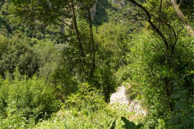 Arkadia dağlarında