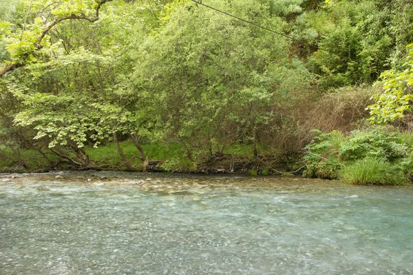 Sungai Lousios, Yunani — Stok Foto