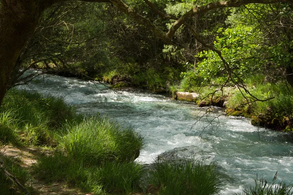 Lousios River, Grecja — Zdjęcie stockowe