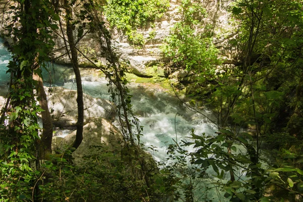 Lousios river in Peloponnese, Grecia . — Fotografia de Stock