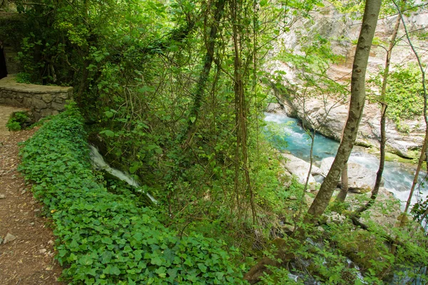 Fiume Lousios nel Peloponneso, Grecia . — Foto Stock