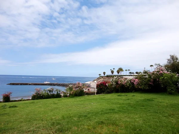 Costa Adeje, Teneriffa, Kanarieöarna, Spanien — Stockfoto
