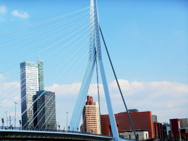 Erasmus Köprüsü (köprü), Rotterdam, Hollanda