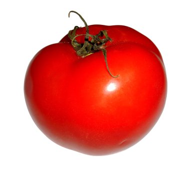 Sulu domates üzerinde beyaz izole