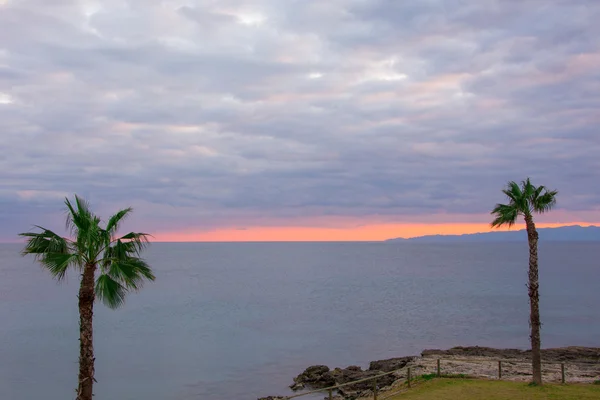 Sunset behind two palm trees