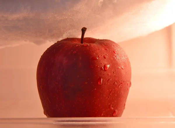 Rött äpple hålla i kylskåp — Stockfoto