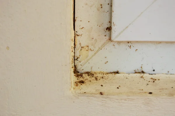Polvere su struttura di finestra in casa — Foto Stock