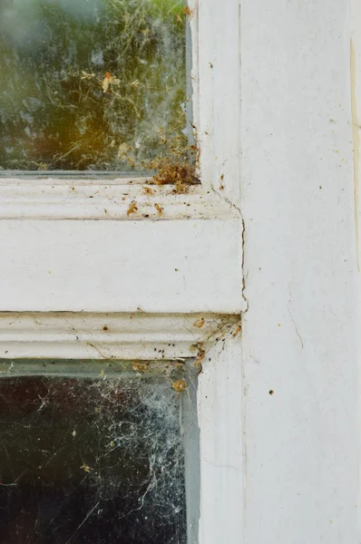 Polvere sul telaio della finestra di vetro casa — Foto Stock