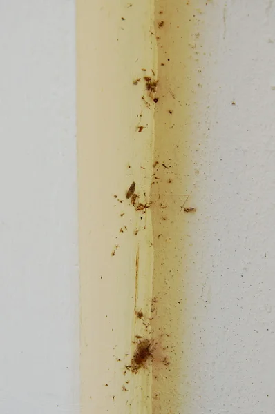 벽 각도에 먼지 — 스톡 사진