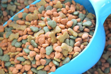 mavi plastik kaşık köpek maması