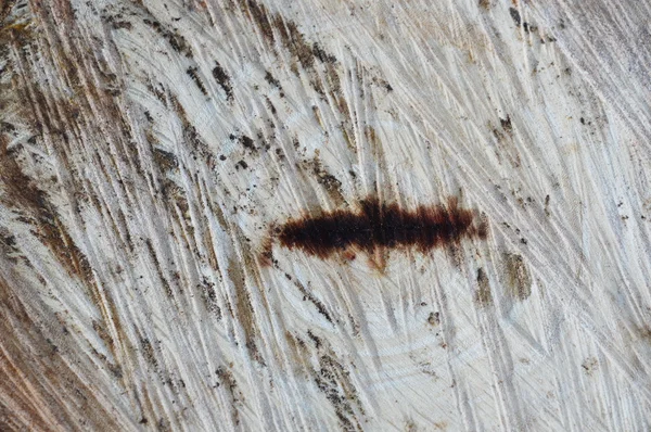 Texture de bois de tamarin coupé pour bloc à découper — Photo