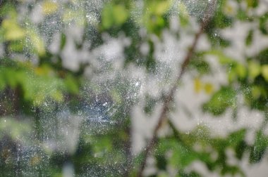 su lekesi evde cam kapı