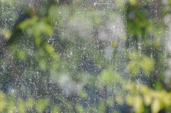 su lekesi evde cam kapı