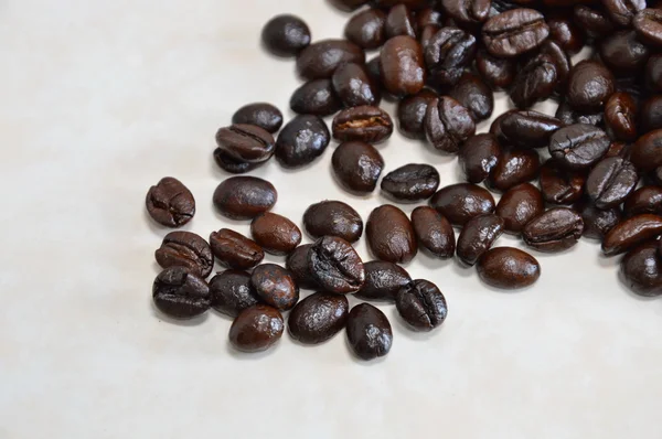 Coffee bean on white tile Stock Photo