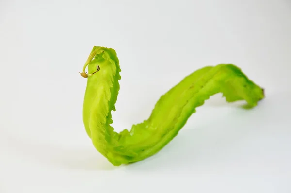 Curva de frijol como serpiente — Foto de Stock