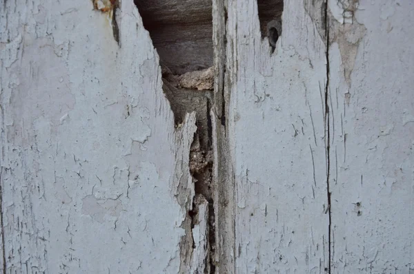 Porte en bois blanc cassé — Photo