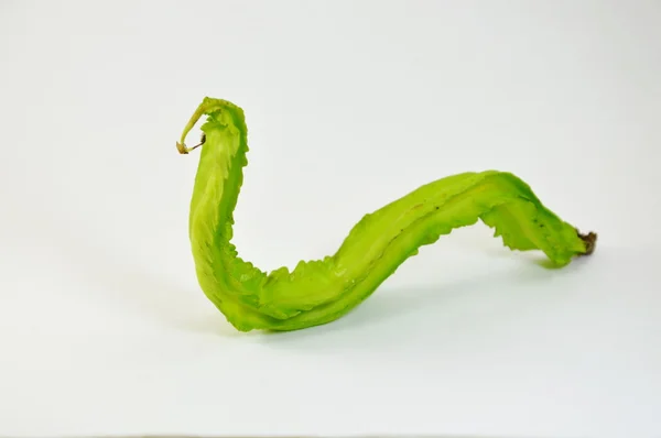 Wing bean curve look like snake — Stock Photo, Image