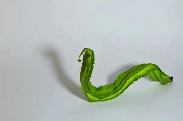 Curva de frijol de ala y sombra parecen serpiente — Foto de Stock