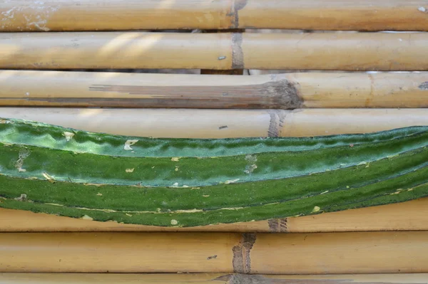 Calabaza sobre mesa de bambú — Foto de Stock