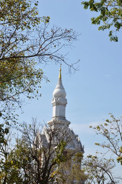 Igreja budista atrás da árvore — Fotografia de Stock