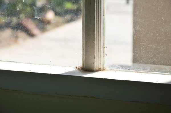 Water vlek op vensterglas — Stockfoto