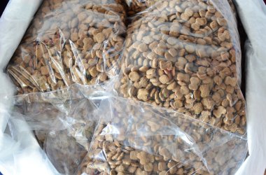 evde beslenen hayvan Dükkan Satılık köpek maması