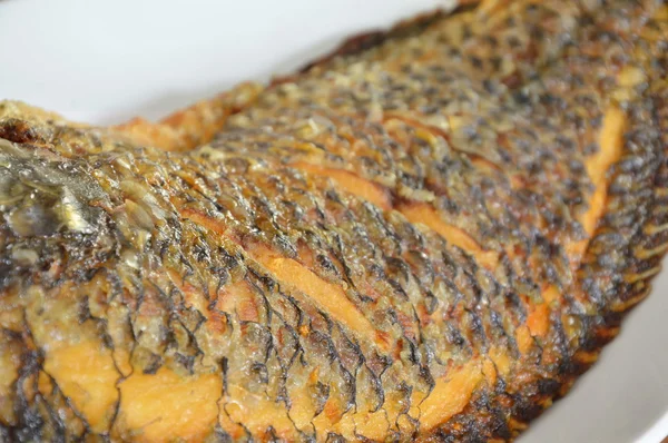 Mango hluboké smažené rybí kůže textury na jídlo — Stock fotografie
