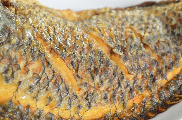 Textura de pele de peixe de manga frita no prato — Fotografia de Stock