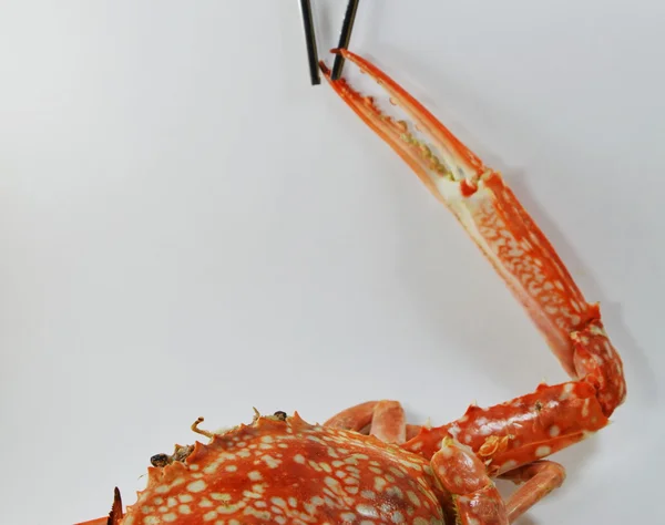 Βραστά καβούρια πιτσιρίκος αλιευμάτων σε ανοξείδωτο chopstick — Φωτογραφία Αρχείου