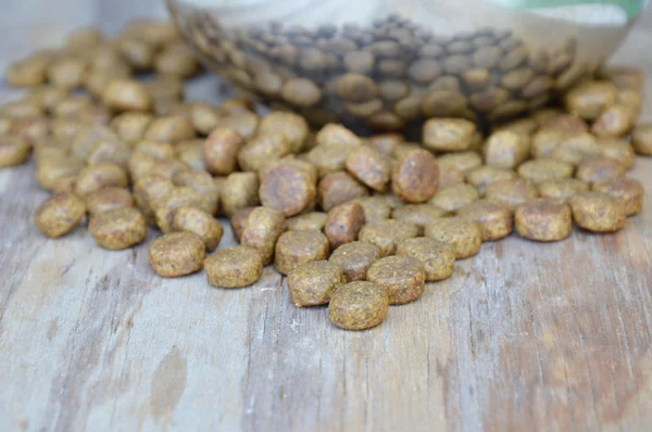 Comida de cão em tigela inoxidável círculo — Fotografia de Stock