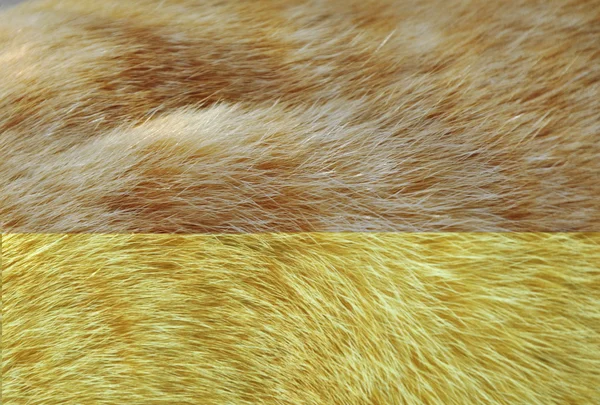 가 까이 서 오렌지 고양이 모피 텍스처와 배경 — 스톡 사진