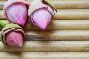 Bambu masa üzerinde pembe lotus
