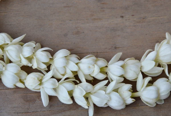 Courbe de jasmin blanc à bord — Photo